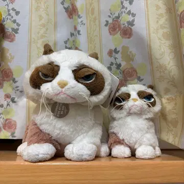 레어 앤티크 캣 고양이 모자 봉제 인형 2세트