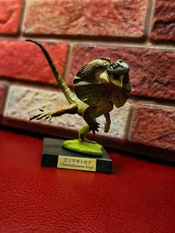 카이요도 캡슐Q 뮤지엄 레프타일즈 라운지 목도리 도마뱀