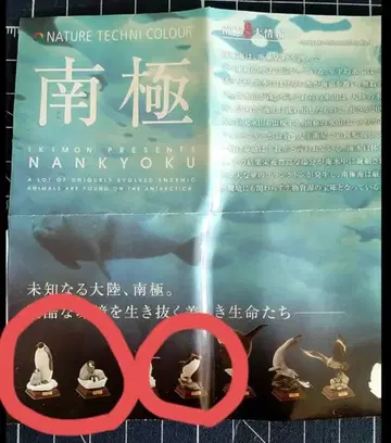 네이처 테크니컬러 남극 초판 3종