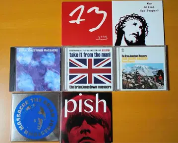 레어 Brian Jonestown Massacre CD 모음