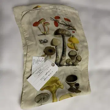 paul harnden fungi scar 스카프