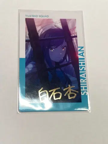 프로세카 에피카 6C 시로이시 안 금박