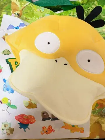 포케파크 코닥 팬캡