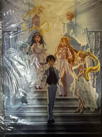 소드 아트 온라인 엑스 크로니클 10주년 기념 팜플렛