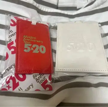 ARASHI 아라시 5 x 20 패스케이스 러기지 택