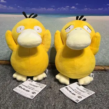 포켓몬 여러 가지 표정 봉제 인형 코닥 2체 세트