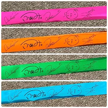 LOVEBITES 일본 무도관 공연 은색 테이프 4종 세트