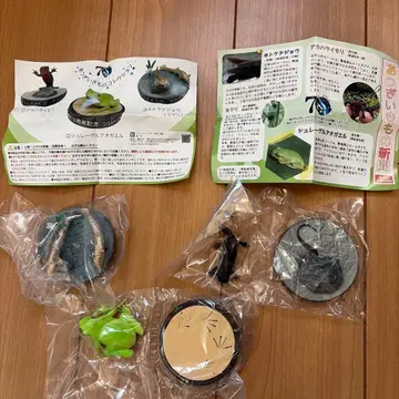 아츠기 생물 신문 3체 컴프