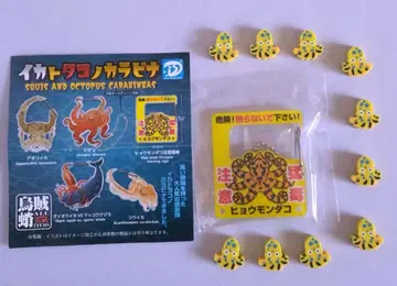 오징어와 문어의 카라비너 표범문어 [맹독 주의] 위험 생물