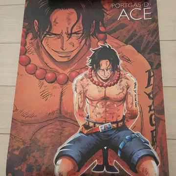 원피스 무기와라 스토어 남자들의 전장 포스터 컬렉션 포스터 에이스