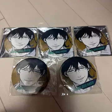 WIND BREAKER 토카게 죠 캔뱃지