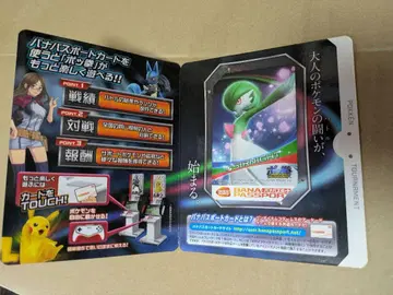 반다이남코 패스포트 카드 포켓몬스터 썬더나이트