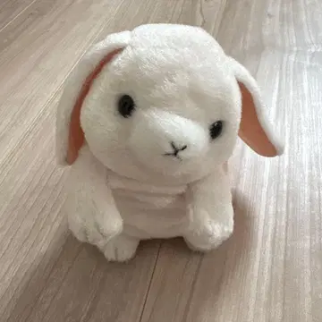 타카라토미아츠 미미크리 반려동물 롭이어