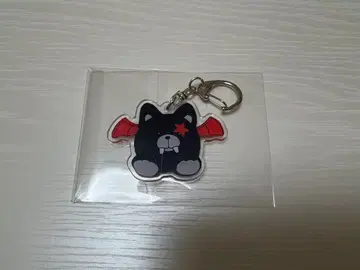 enhypen 키링 키링 히승