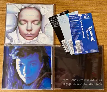 비요크 데뷔 하이퍼 발라드 텔레그램 리믹스 3 타이틀