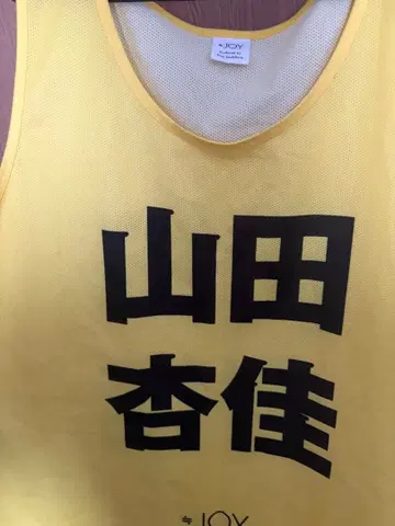 야마다 안즈 초기 비브스