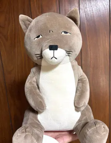 티베트 사막여우 봉제 인형 사나오카 씨 새상품급 애니멀 동물 개성파