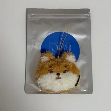 DAY6 영케이 데니멀즈