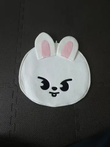 straykids 리노 부채 커버