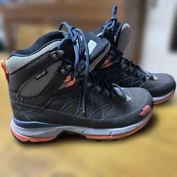THE NORTH FACE GORE-TEX 등산화