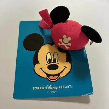 레어 디즈니랜드 미키 파이리츠 해적 패치 헤어핀