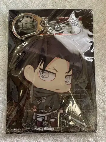 진격의 거인 아크링 키링 리바이 병장