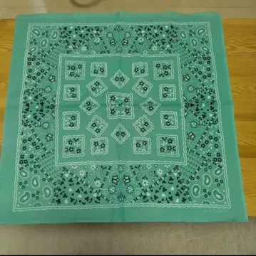 The REAL McCOY'S 리얼 맥코이 반다나 쿠키 패턴