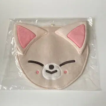 Stray Kids 스키즈 아이엔 부채 커버