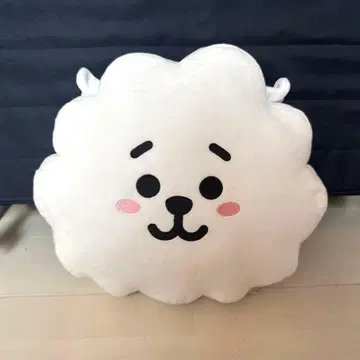 [ BTS ] 라인프렌즈 공식 RJ 쿠션