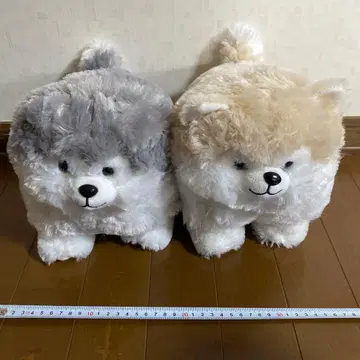 데굴데굴 강아지 모후마루 JB 봉제 인형 2종 세트 모후스키 모후마루