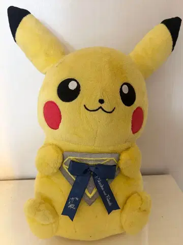 피카츄 봉제 인형 제일복권 2016 이브이 프렌즈 택 포함