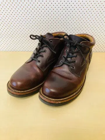 Slow Wear Lion 옥스퍼드 25cm 크롬 엑셀