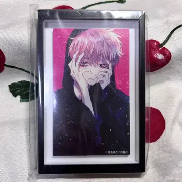 타몬군 지금 어느 쪽!? BIG 프레임 마그넷