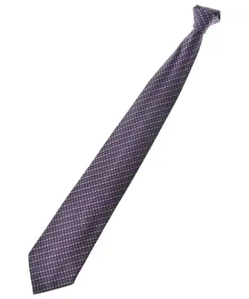 Salvatore Ferragamo 넥타이 남성용