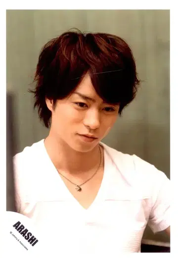 아라시 Monster 사쿠라이 쇼 공식 사진 *1장