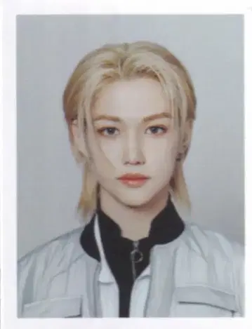 StrayKids FELIX 2023 PILOT ID 사진