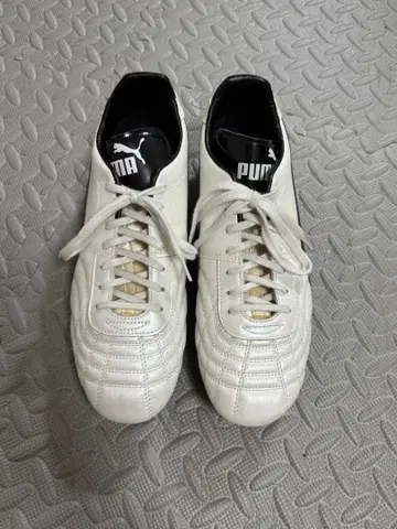 푸마 파라메히코