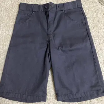 가격 인하 Dickies 숏팬츠