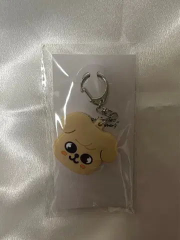 StrayKids Exhibition 키 커버 승민 퍼핌 전람회