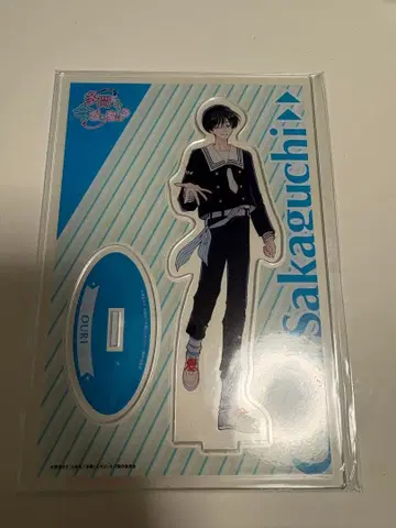 타몬군 지금 어느 쪽!? 사카구치 사쿠리 아크릴 스탠드