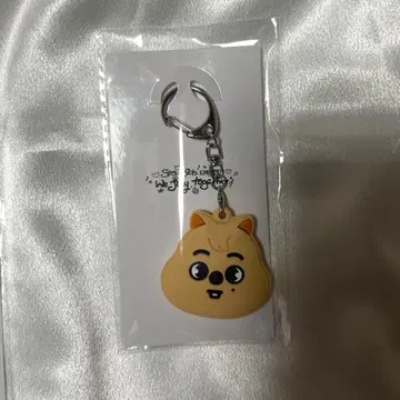 StrayKids Exhibition 키 커버 승민 퍼핌 전람회