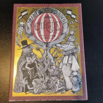 히구치 유코 화집 CIRCUS