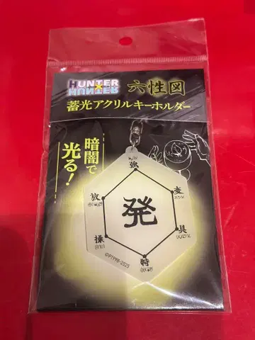 rofj HUNTER x HUNTER 축광 아크릴 키링 육성도