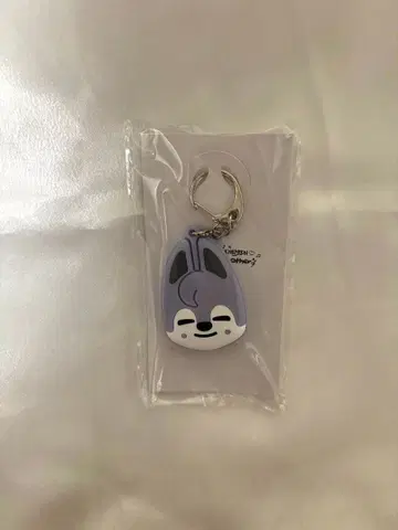 StrayKids 키 커버 방찬 울프찬 전시회