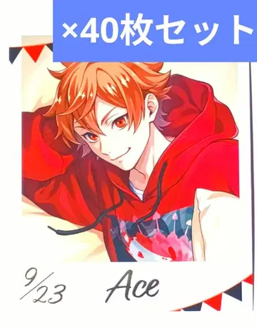 [ 40장 세트 ] 트위스테 편안한 나의 방 포토 카드 에이스