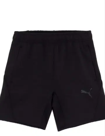 PUMA DRYCELL 숏팬츠 L 블랙 하프 팬츠 남성용