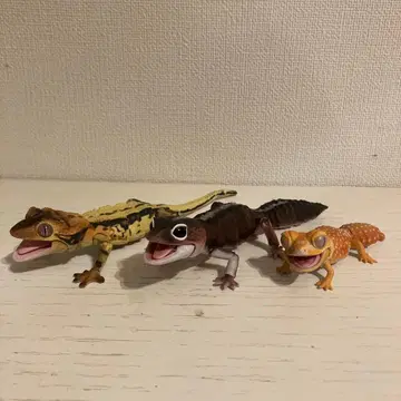 도마뱀 피규어 3개 세트