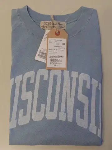 REMI RELIEF WISCONSIN RAGLAN TEE