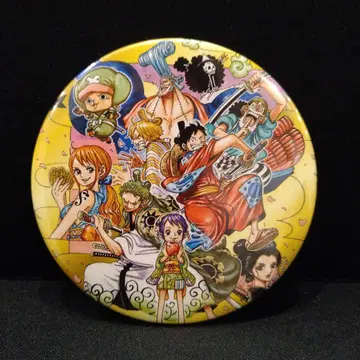 원피스 와노쿠니 캔뱃지 익명 배송 루피 조로 나미