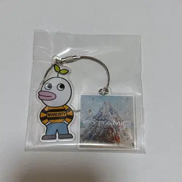 Novelbright 저스틴 키링